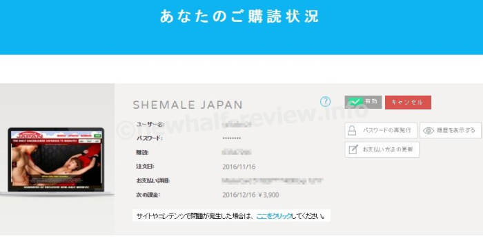 �e�B�[�K�[���W���p�� shemalejapan ������@ �j���[�n�[�t���C������